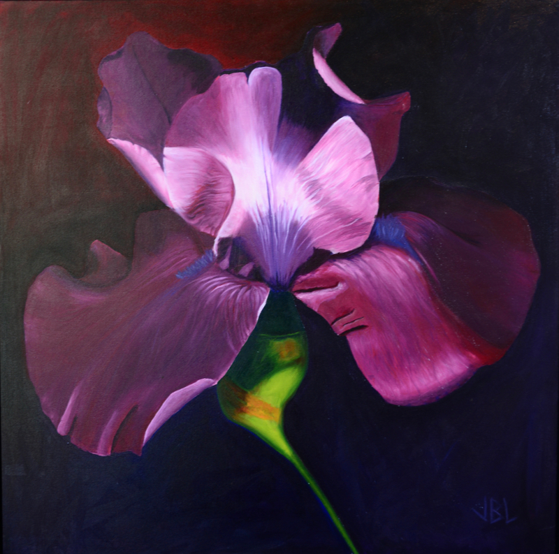 Purple Flower
