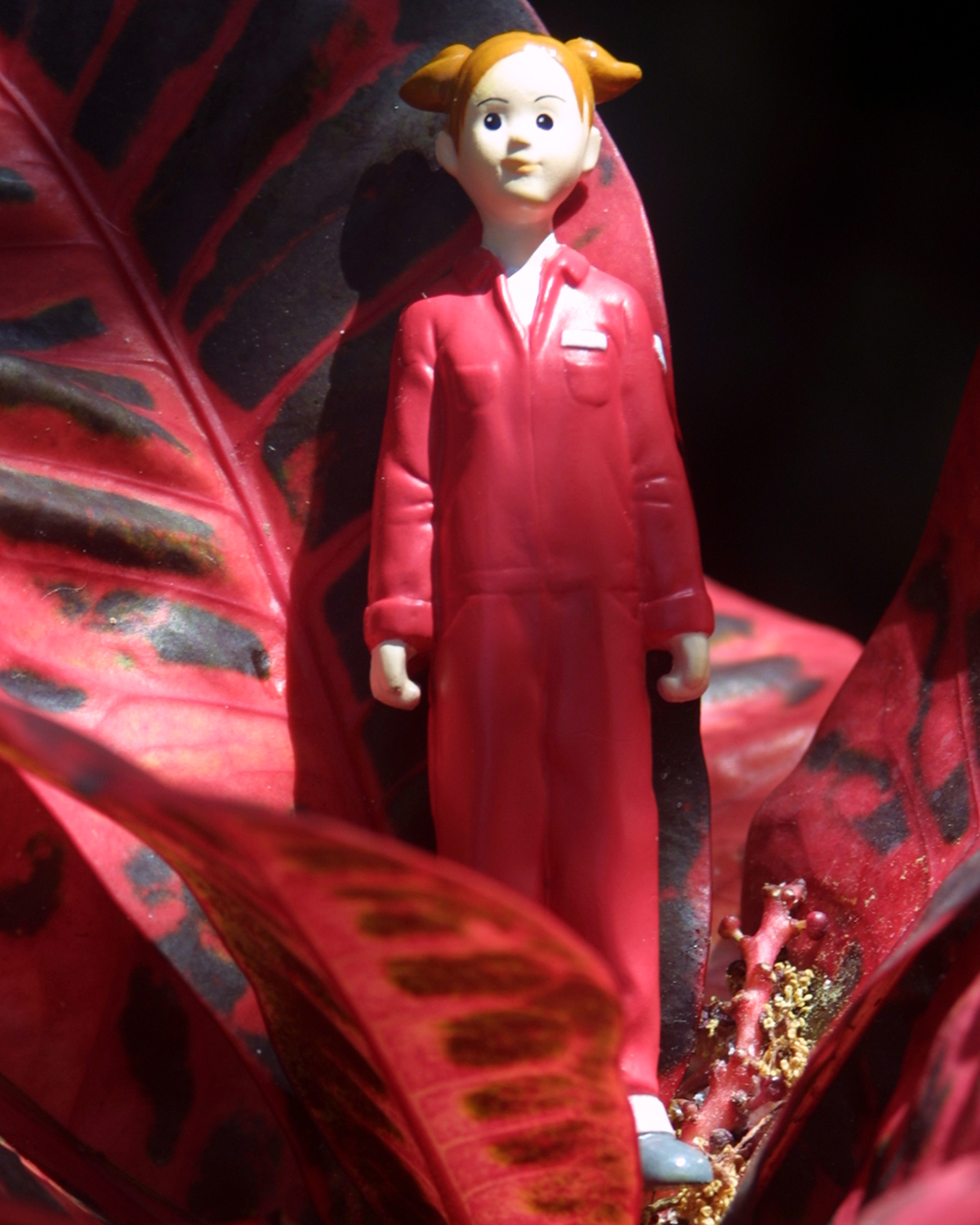 Red Series